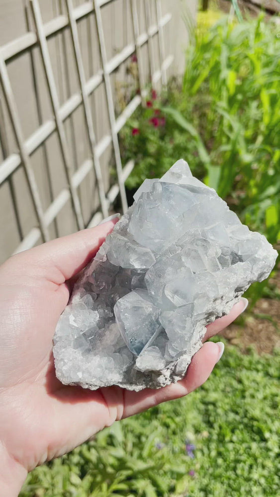
            
                Load and play video in Gallery viewer, Celestite Cluster 24.8oz
            
        