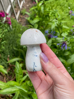 Snow Agate Mushroom (A)