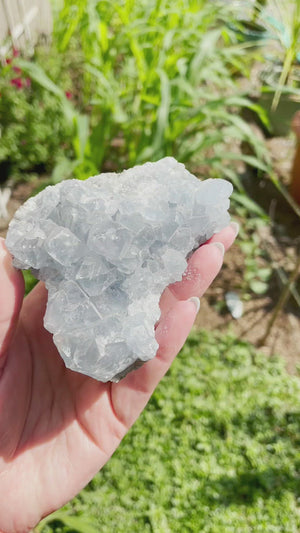 
            
                Load and play video in Gallery viewer, Celestite Cluster 19.2oz
            
        